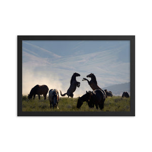 Framed poster - Onaqui wild horse herd