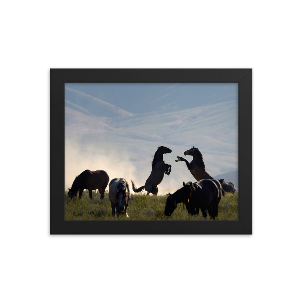 Framed poster - Onaqui wild horse herd