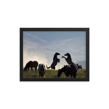 Load image into Gallery viewer, Framed poster - Onaqui wild horse herd