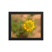 Load image into Gallery viewer, Framed poster - Desert bloom